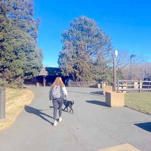 Meet your Posher, Britain